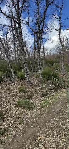 kanvas-b77c5804-17c5-43ff-9d89-239dd3d44d27