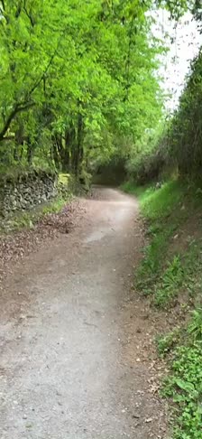 kanvas-d22f5dc0-a746-4ff7-aba2-41160698082a